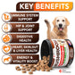 2 Pack Mushroom for Dogs 340 Chews Turkey Tail Mushroom