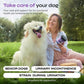Dog UTI Treatment