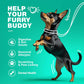 Amazon Factory's, Probiotics for Dogs Gut Health Digestion