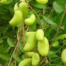 5 - HTP - AMAZON FACTORY