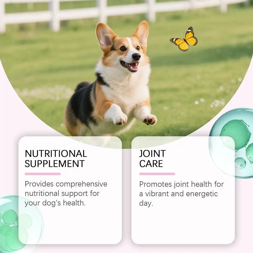 60ml Dog hair conditioner Dog Pet Collagen Based Staple Food Combined With Nutritional Supplement Drops Gentle Formula - AMAZON FACTORY