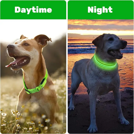 Rechargeable LED Dog Collar – Green Glow, Adjustable Soft Mesh, High Visibility (Size M)