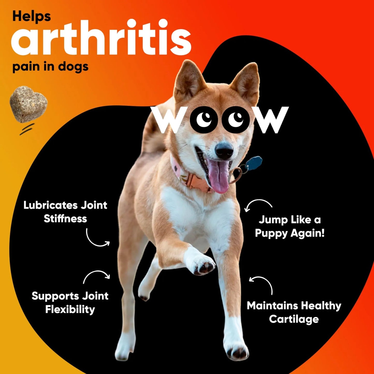 Amazon Factory - Dr Woow Hip and Joint Support Soft Chews - AMAZON FACTORY