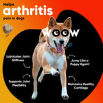 Dr Woow Hip & Joint Chews-AMAZON FACTORY