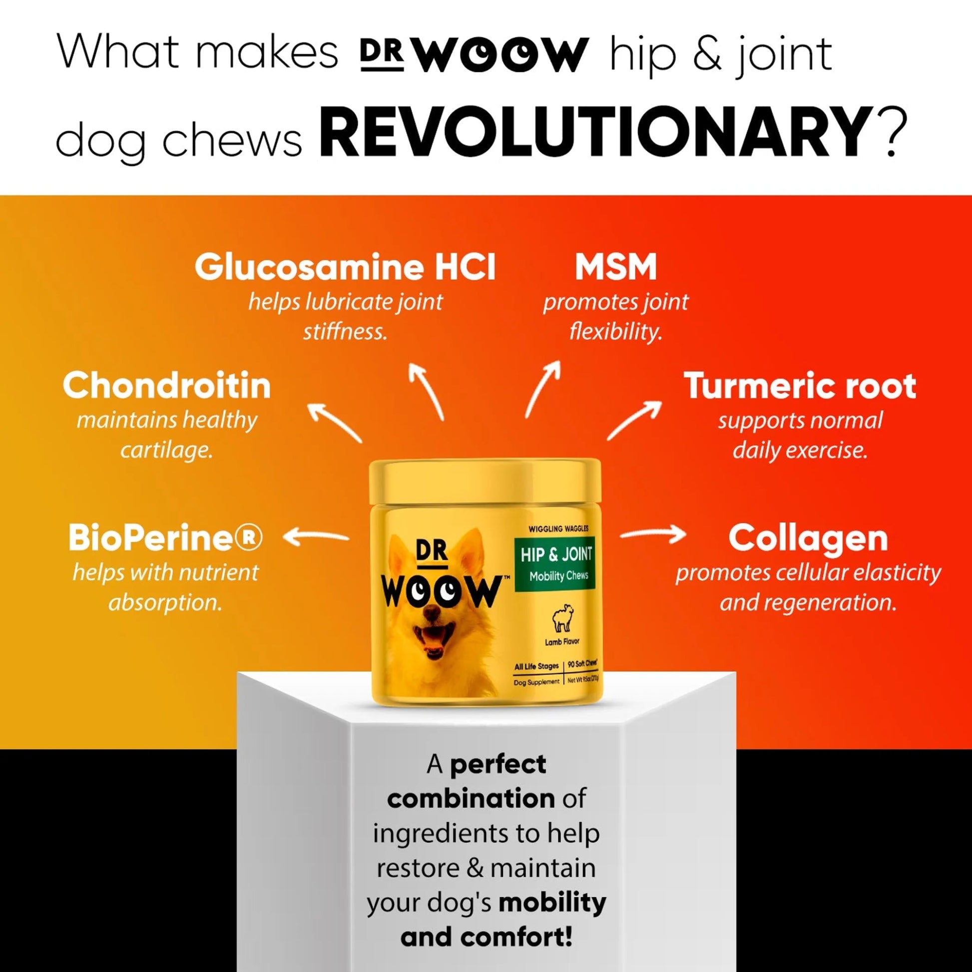 Amazon Factory - Dr Woow Hip and Joint Support Soft Chews - AMAZON FACTORY
