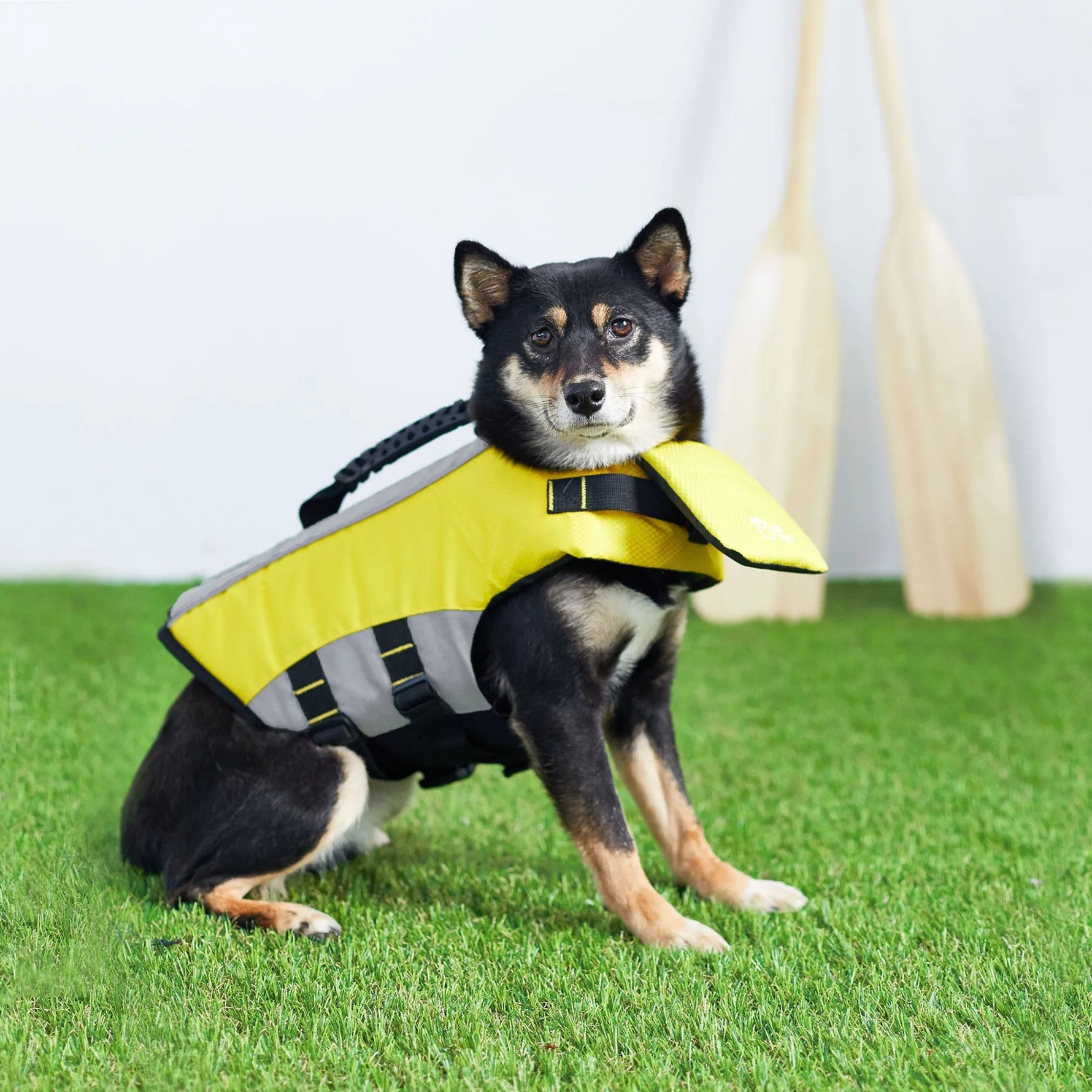 GF Pet Life Vest-AMAZON FACTORY