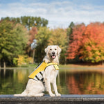 GF Pet Life Vest-AMAZON FACTORY