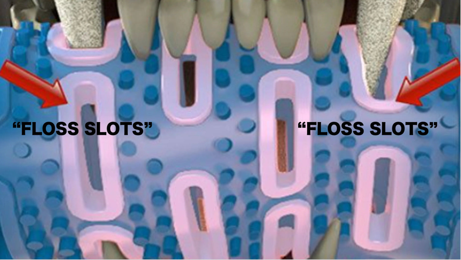 Chew Mete Floss & Toothbrush Toy for Dogs-AMAZON FACTORY