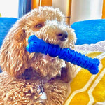 Chew Mete Floss & Toothbrush Toy for Dogs-AMAZON FACTORY