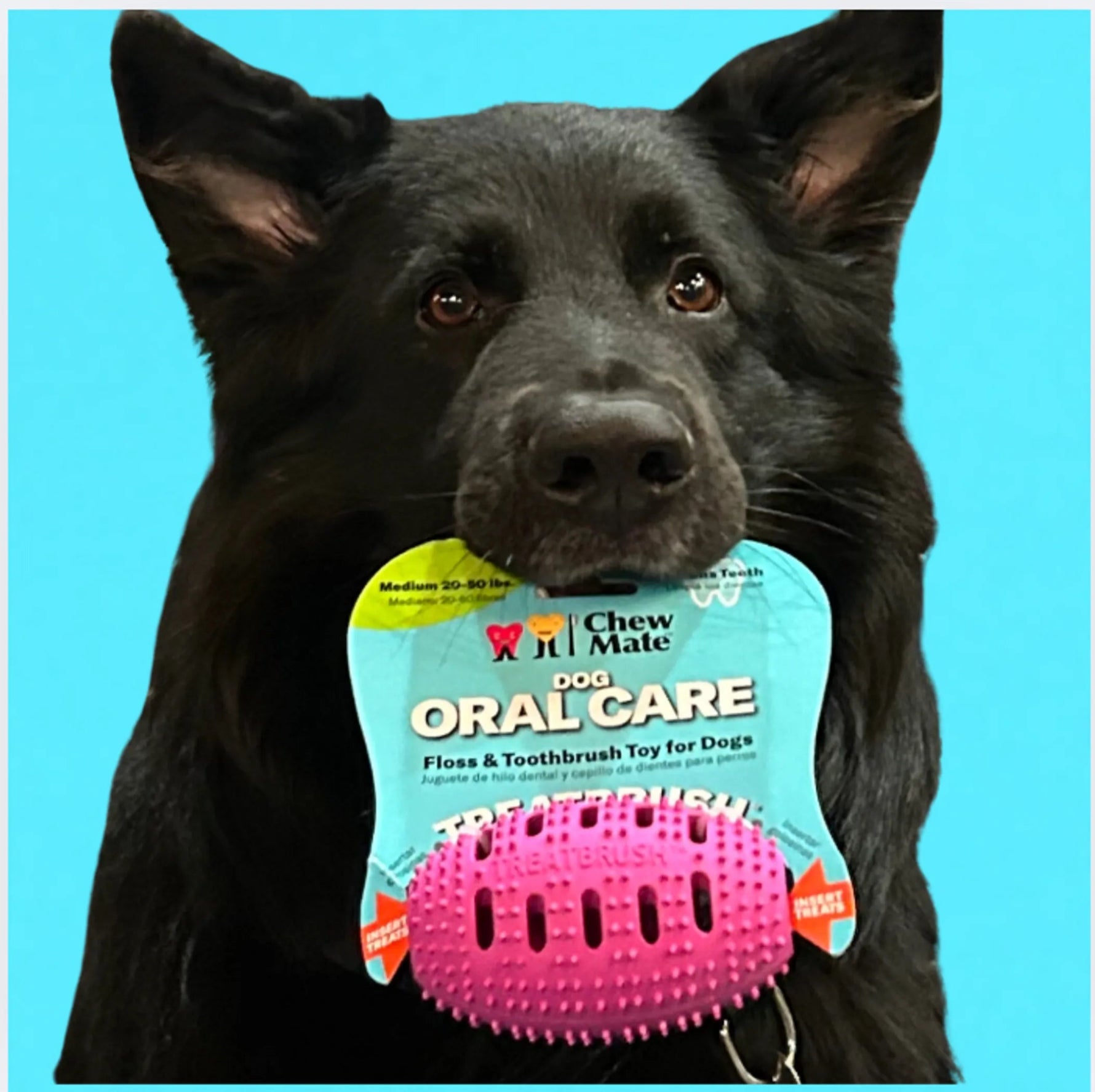 Dog Oral Care Floss & Toothbrush Toy for Dogs-AMAZON FACTORY