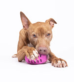 Dog Oral Care Floss & Toothbrush Toy for Dogs-AMAZON FACTORY