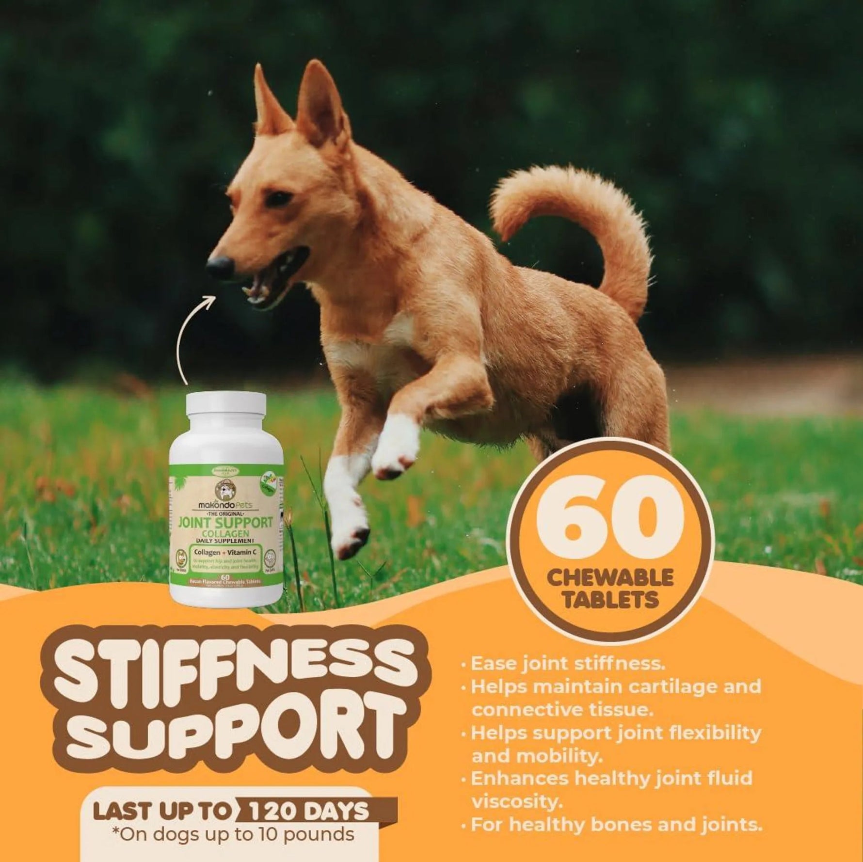 Collagen for Dogs & Cats-AMAZON FACTORY