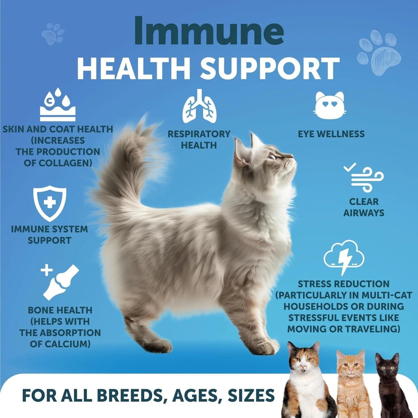 Amazon Factory's Lysine for Cats Lysine Powder Supplement - AMAZON FACTORY