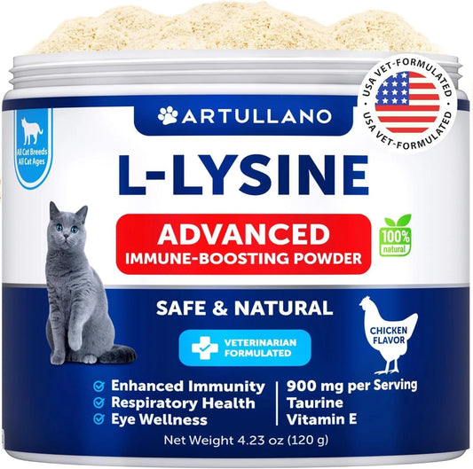 Amazon Factory's Lysine for Cats Lysine Powder Supplement - AMAZON FACTORY