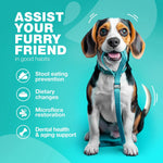 No Poo Treats Soft Chews For Dogs-AMAZON FACTORY