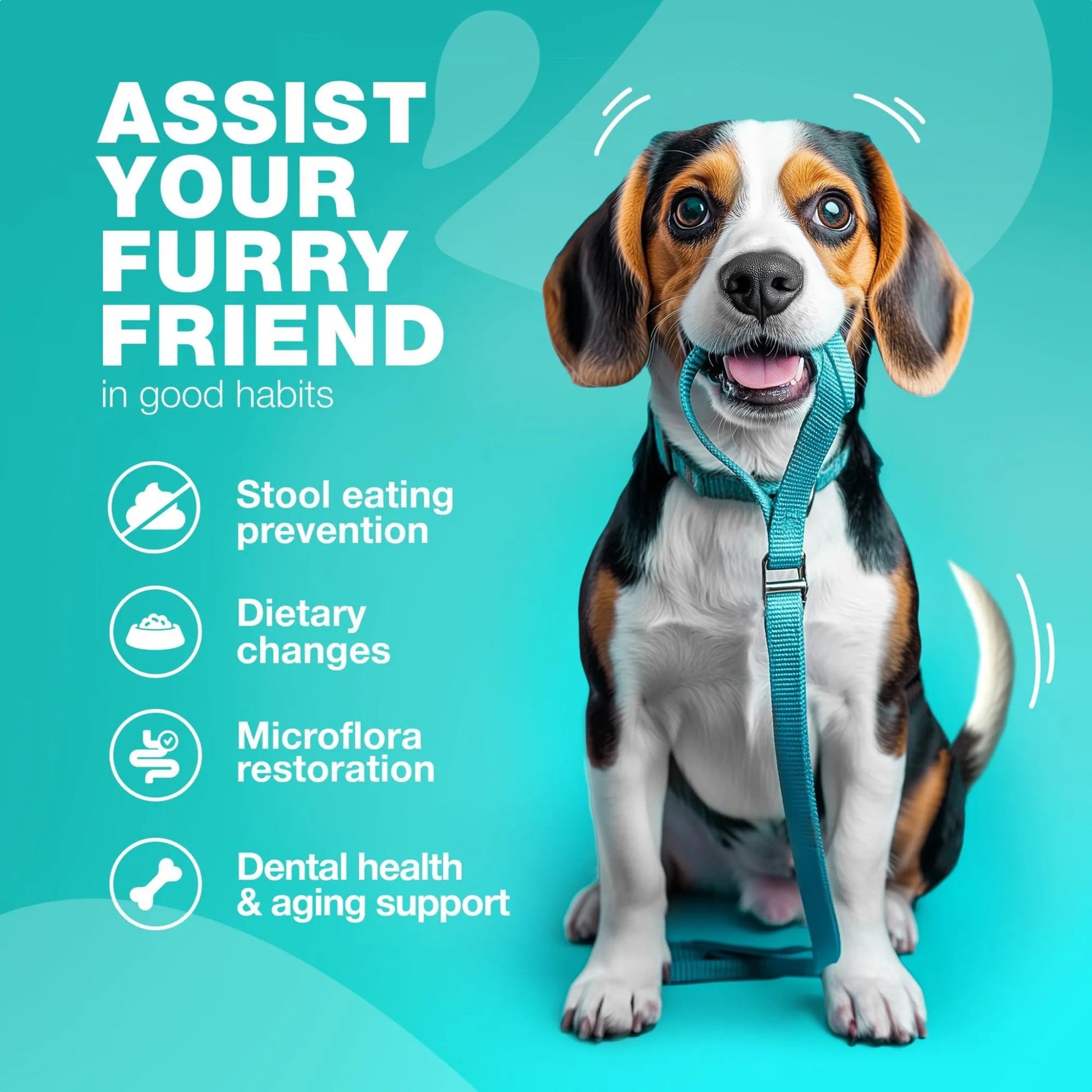 No Poo Treats Soft Chews For Dogs-AMAZON FACTORY