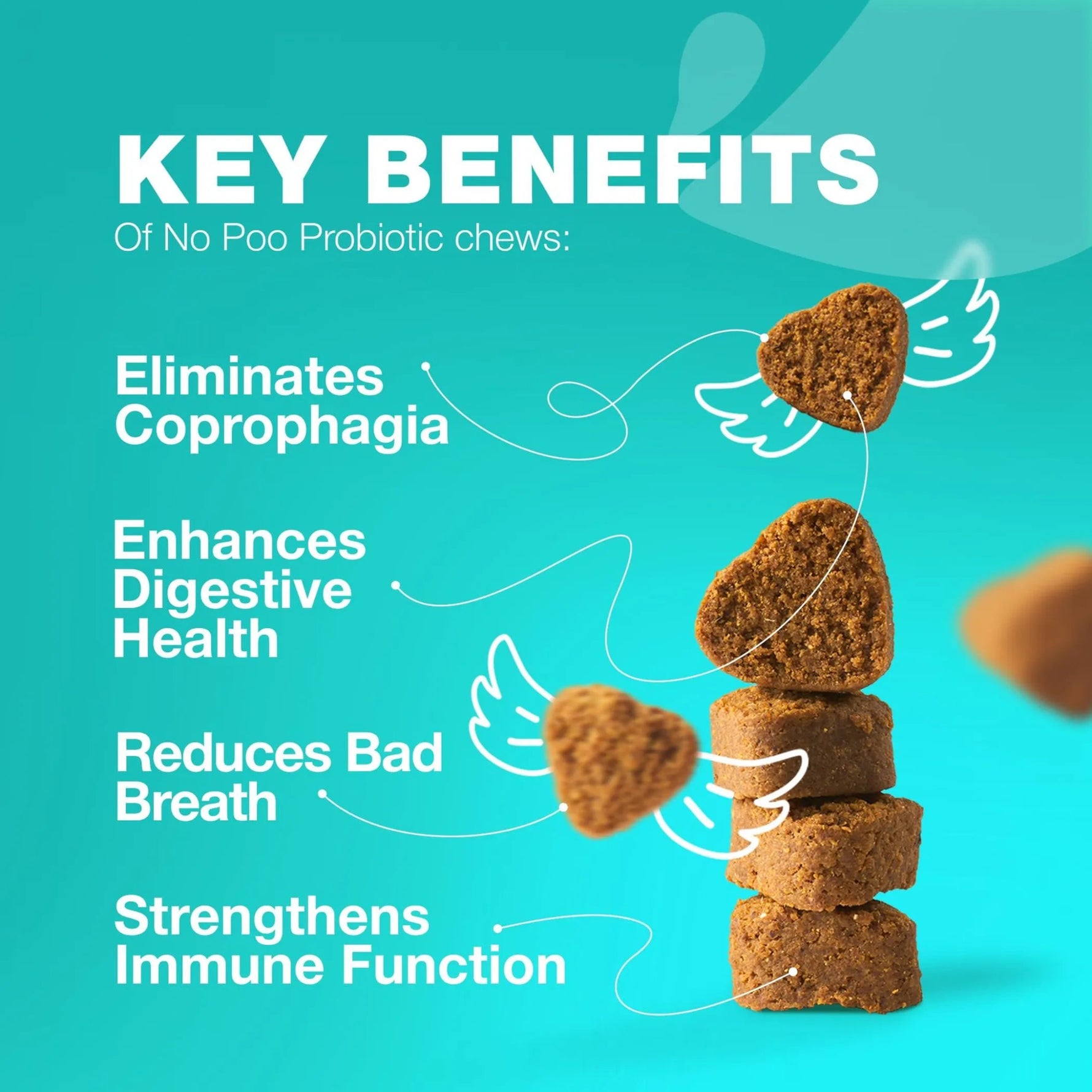 No Poo Treats Soft Chews For Dogs-AMAZON FACTORY