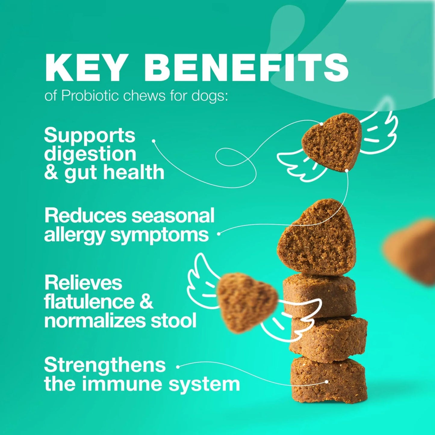 Amazon Factory's, Probiotics for Dogs Gut Health Digestion - AMAZON FACTORY