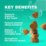 Probiotics Soft Chews For Dogs-AMAZON FACTORY