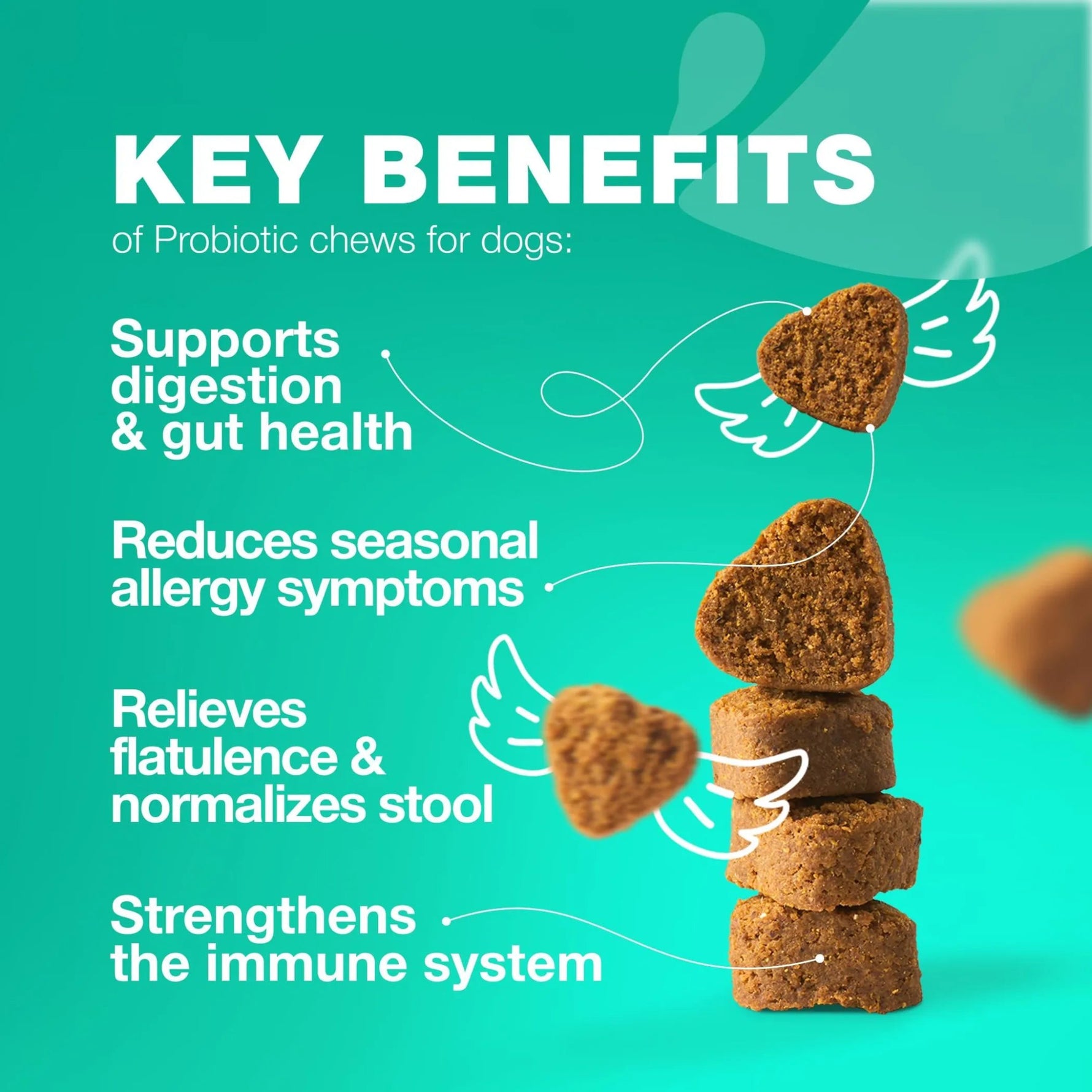 Probiotics Soft Chews For Dogs-AMAZON FACTORY