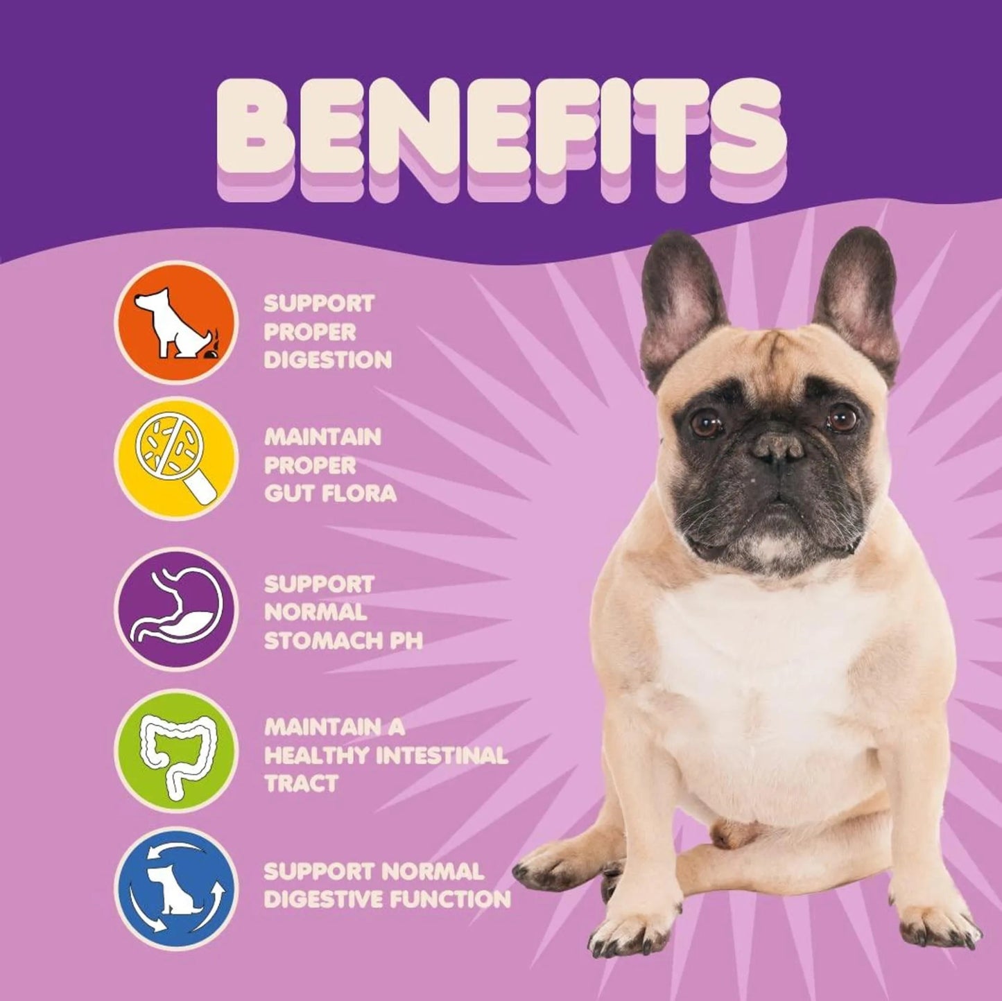 Amazon Factory's - Probiotics for Dogs & Puppies - AMAZON FACTORY