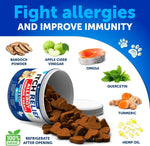 Dog Probiotics – Gut Health & Skin Support-AMAZON FACTORY