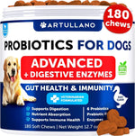 Dog Probiotics – Gut Health & Skin Support-AMAZON FACTORY