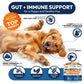 Amazon Factory's - Probiotics for Dogs - AMAZON FACTORY