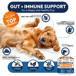 Dog Probiotics – Gut & Skin Support-AMAZON FACTORY