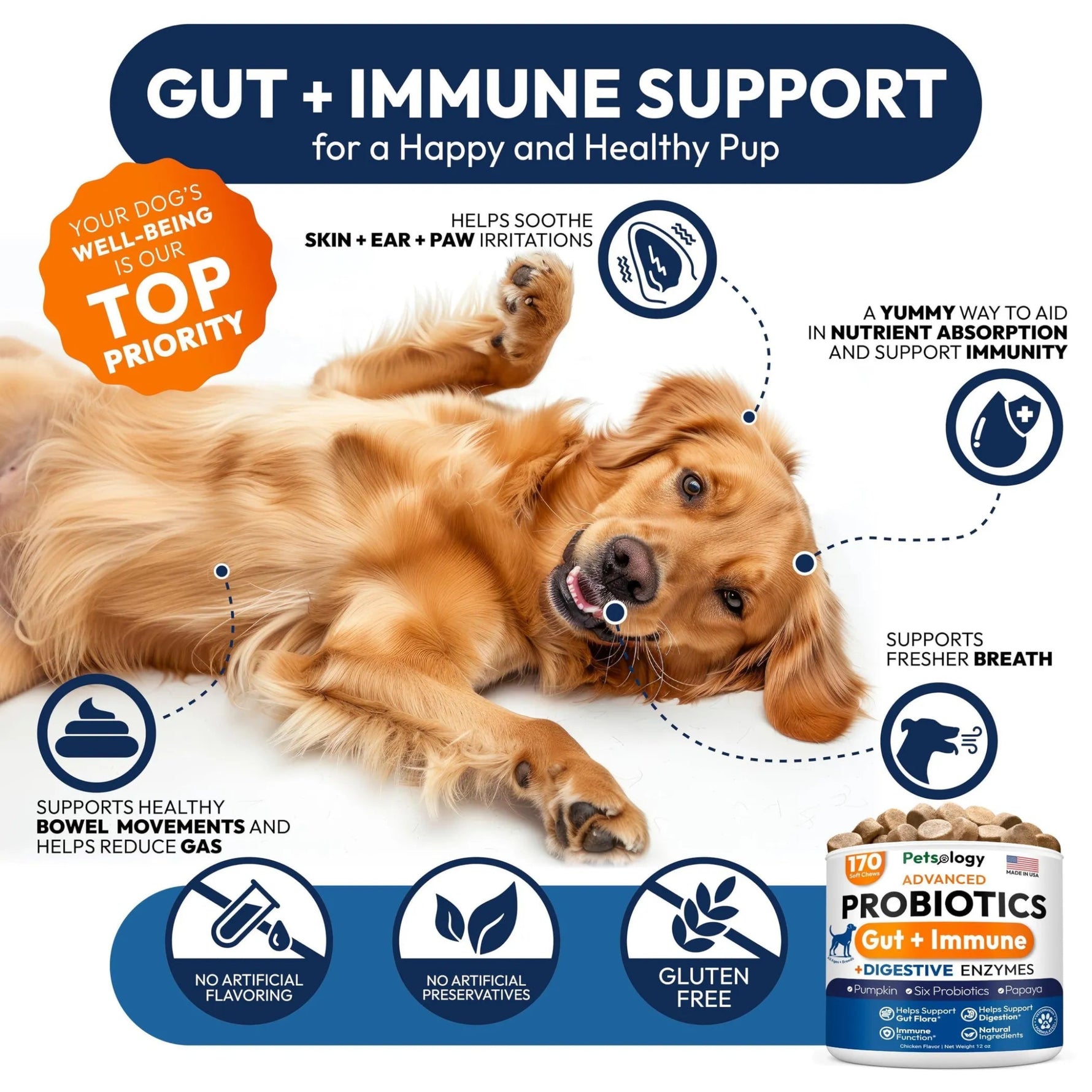 Dog Probiotics – Gut & Skin Support-AMAZON FACTORY