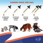 Boost Your Pet’s Digestive Health & Immunity-AMAZON FACTORY