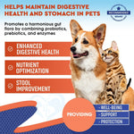 Boost Your Pet’s Digestive Health & Immunity-AMAZON FACTORY