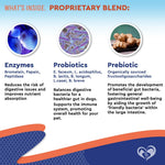 Boost Your Pet’s Digestive Health & Immunity-AMAZON FACTORY