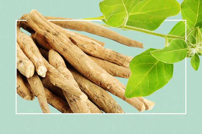 Ashwagandha – Stress Relief & Energy Support-AMAZON FACTORY