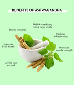 Ashwagandha – Stress Relief & Energy Support-AMAZON FACTORY