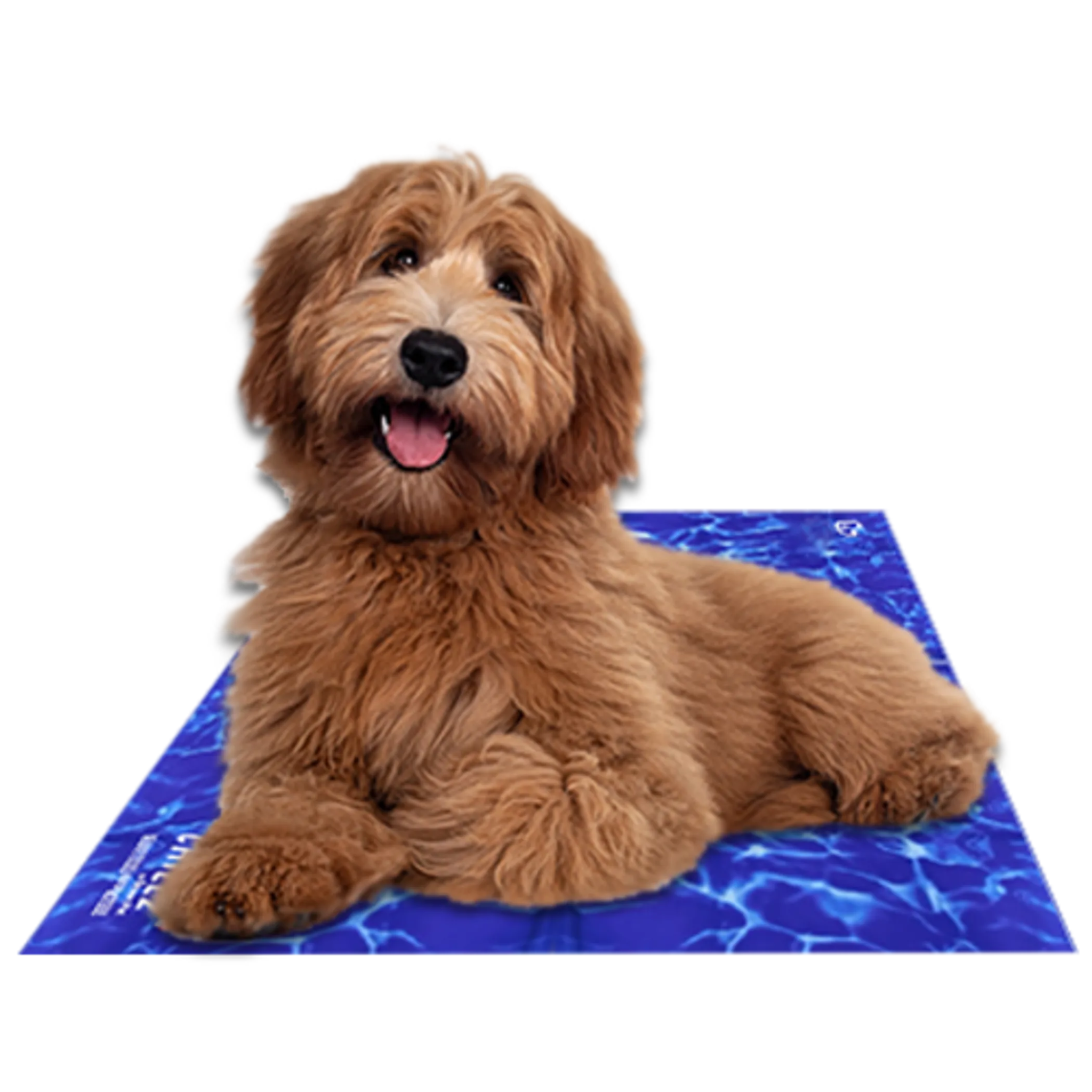 Chillz Gel Mat - AMAZON FACTORY