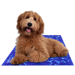 Chillz Cooling Gel Mat for Pets – Comfort & Relief for Dogs and Cats-AMAZON FACTORY