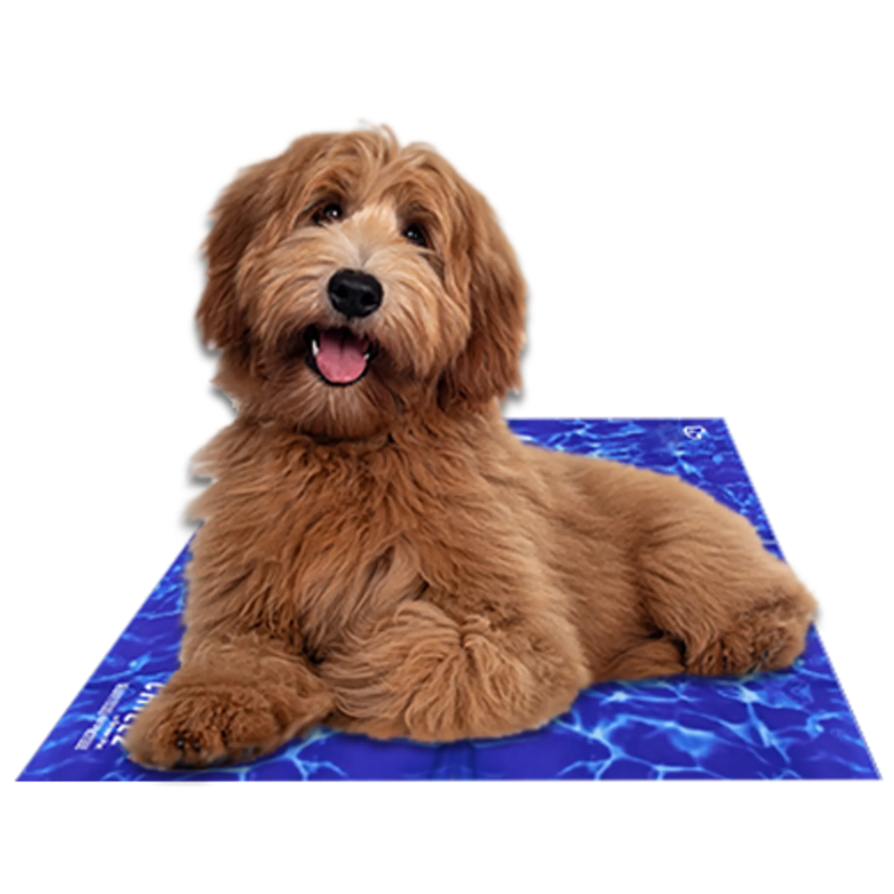 Chillz Cooling Gel Mat for Pets – Comfort & Relief for Dogs and Cats-AMAZON FACTORY