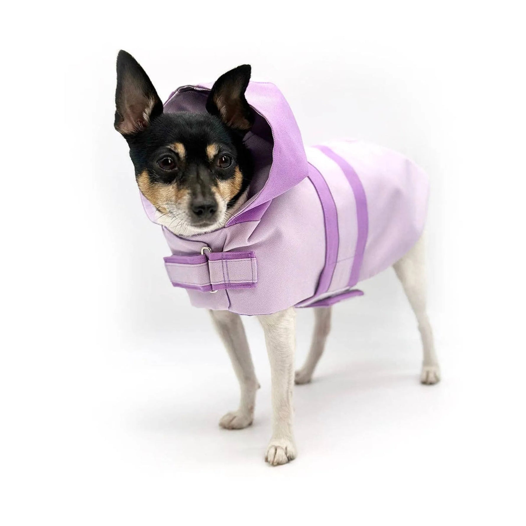 DCNY Sport Luxe Hooded Raincoat-AMAZON FACTORY