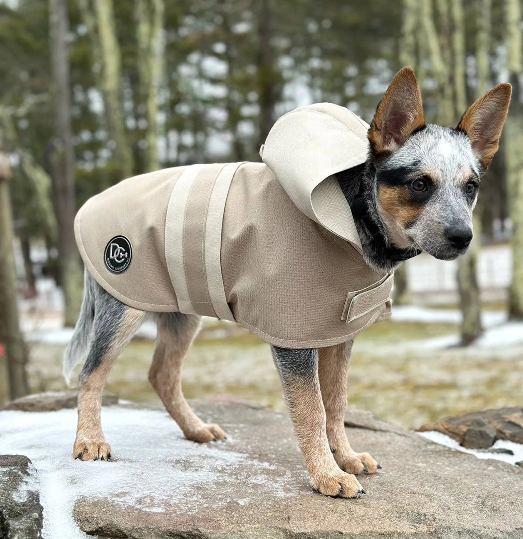 DCNY Sport Luxe Hooded Raincoat-AMAZON FACTORY