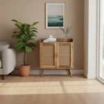 Distressed Solid Wood Inlaid Rattan Accent Cabinet With Two Doors-AMAZON FACTORY