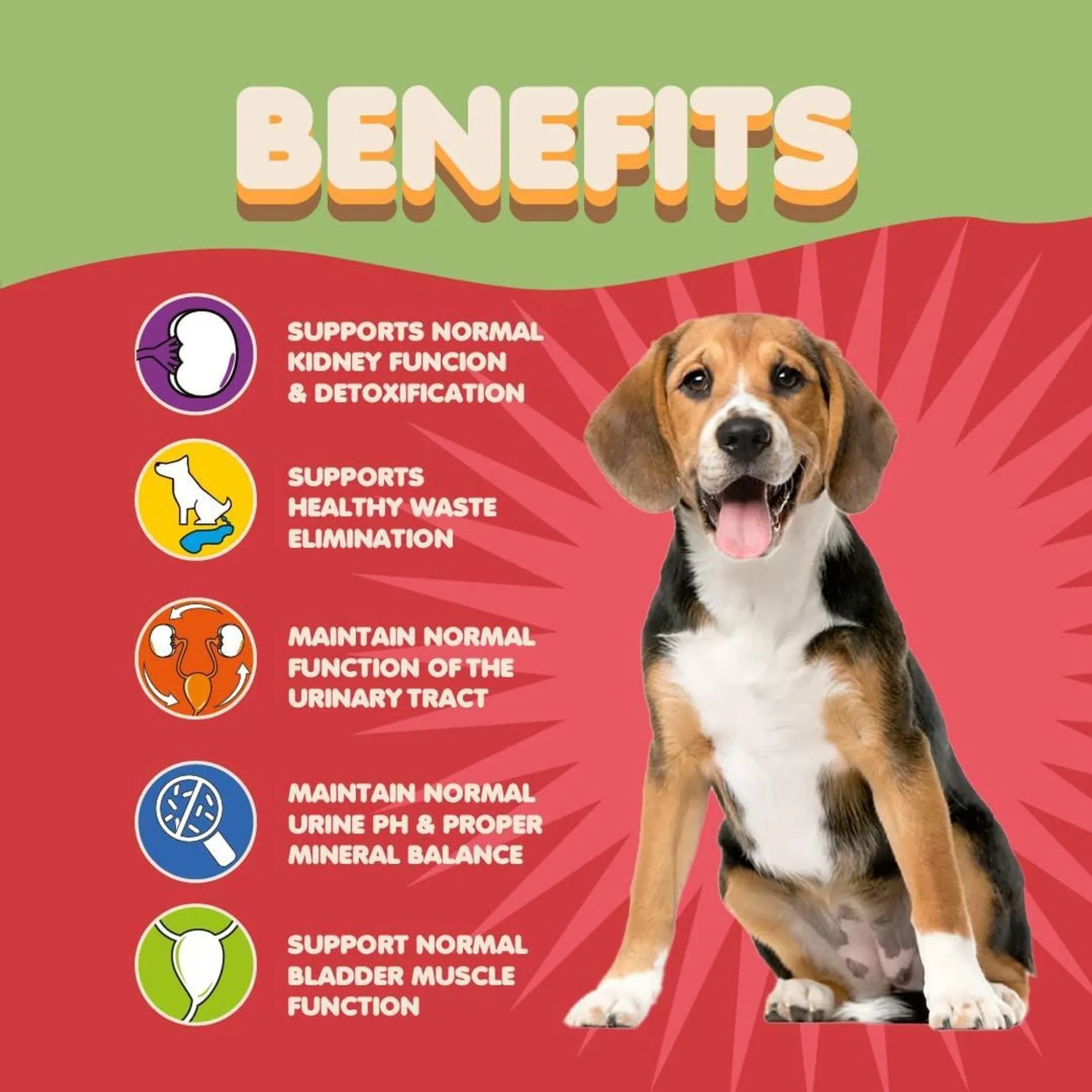 Crenberry for Dogs. Urinary Tract Support-AMAZON FACTORY