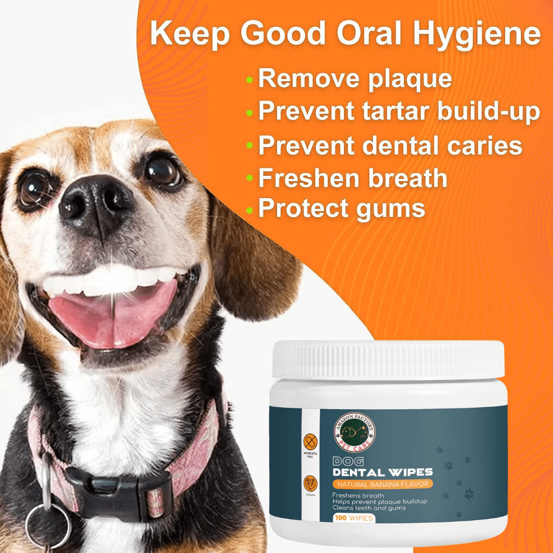 Dog Dental Cleaner Wipes - AMAZON FACTORY