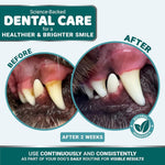 Dog Dental Powder Breath Freshener-AMAZON FACTORY