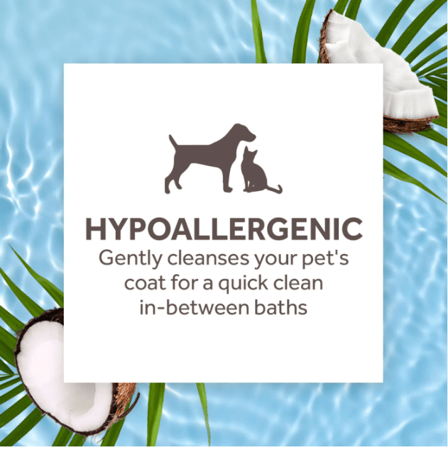 Dog Waterless Shampoo - AMAZON FACTORY