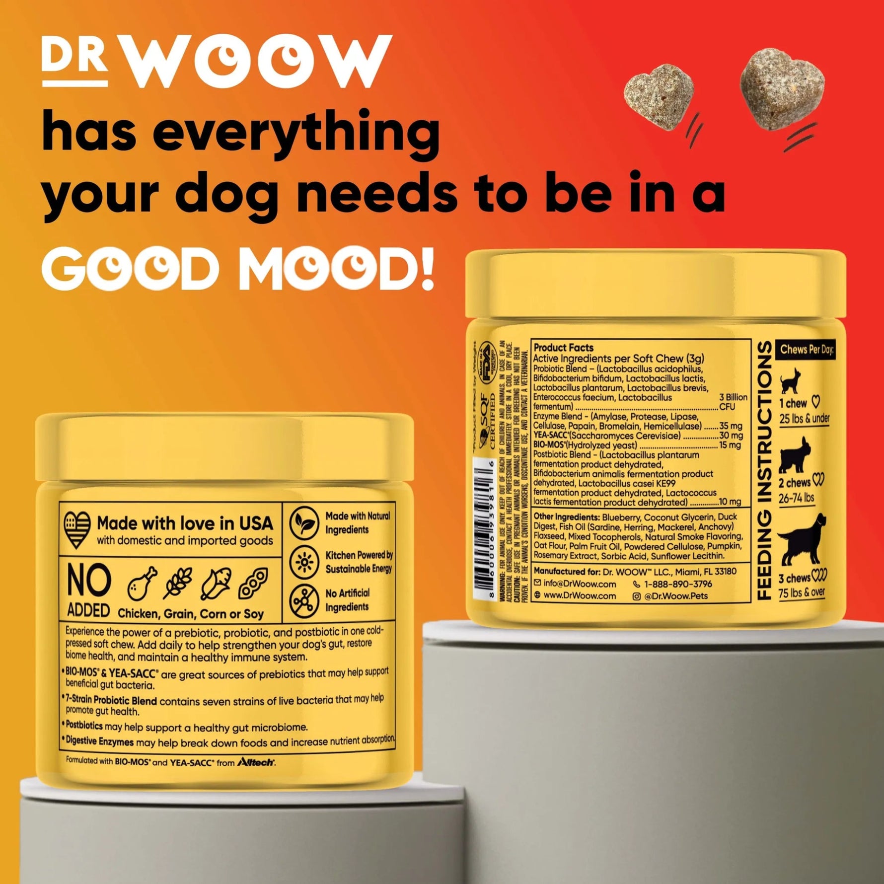 Dr Woow Digestion Soft Chews-AMAZON FACTORY