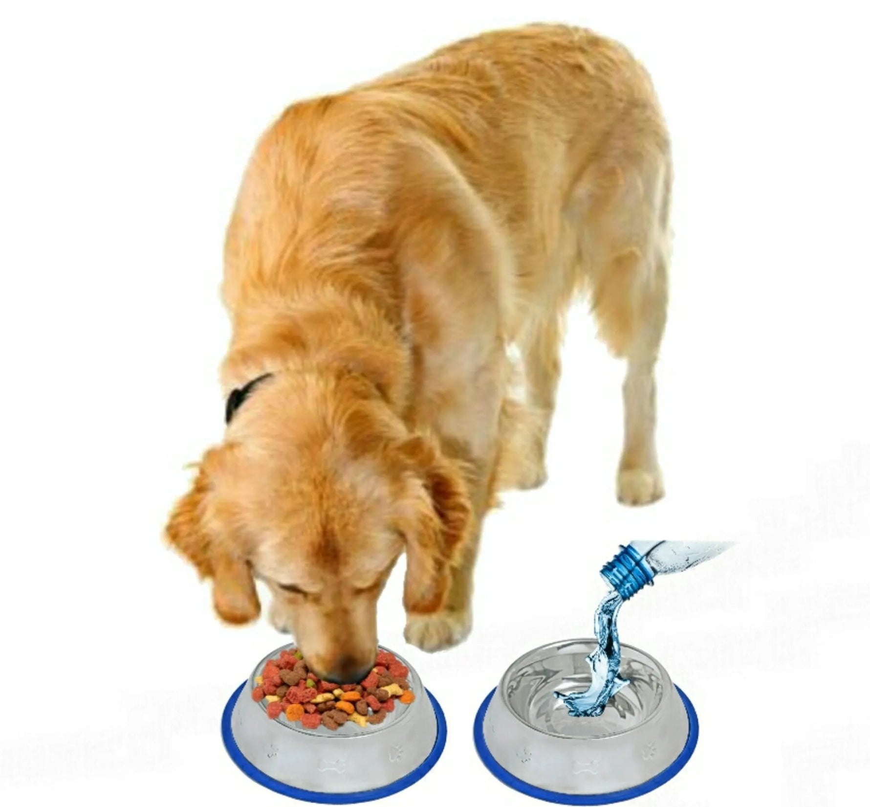 Set of - 02count - Etched Stainless Steel Dog Bowls with Blue Silicone Base-AMAZON FACTORY