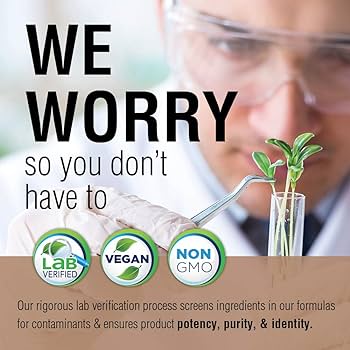 Fermented Mushroom Blend - AMAZON FACTORY