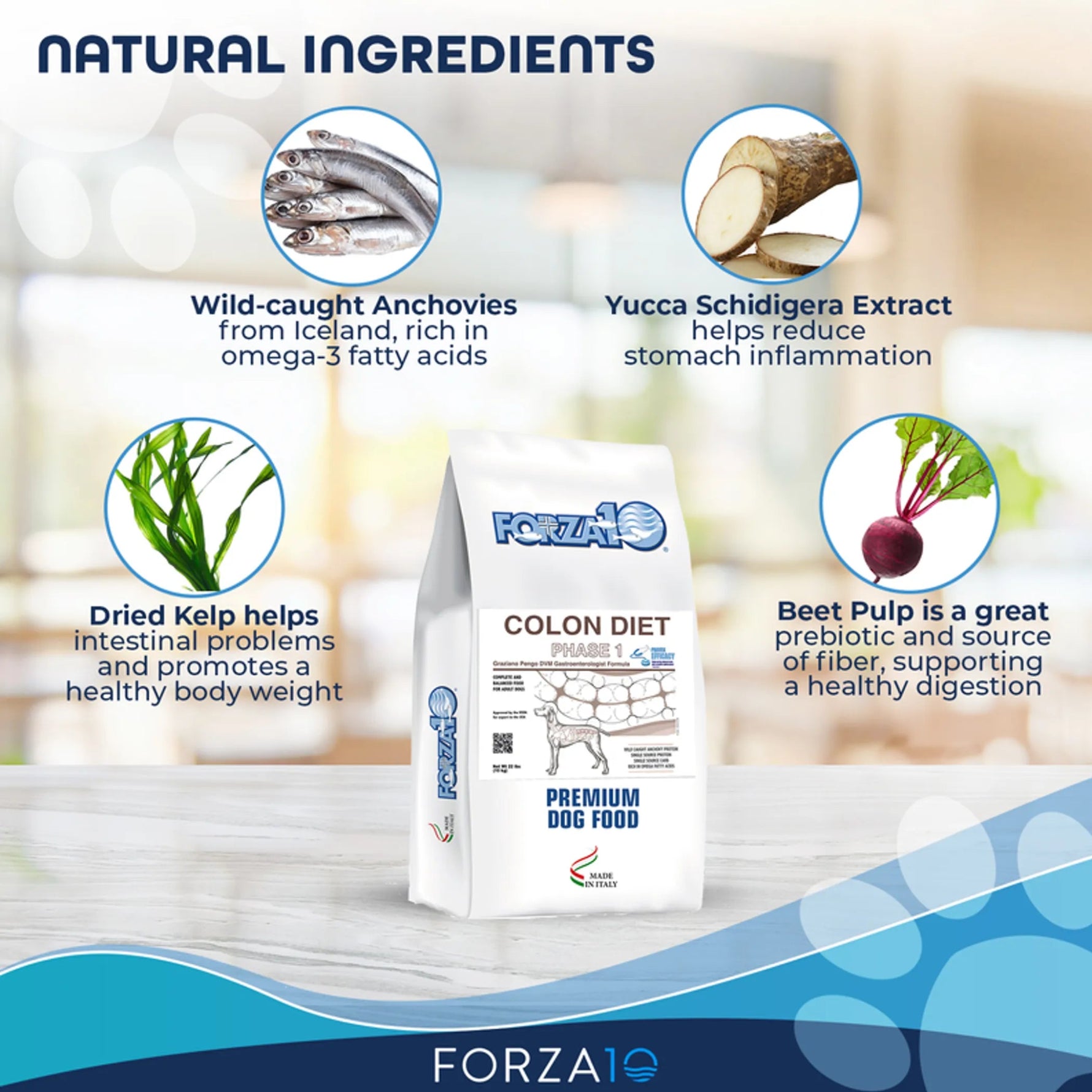 Forza10 Active Colon Support Diet Phase 1-AMAZON FACTORY
