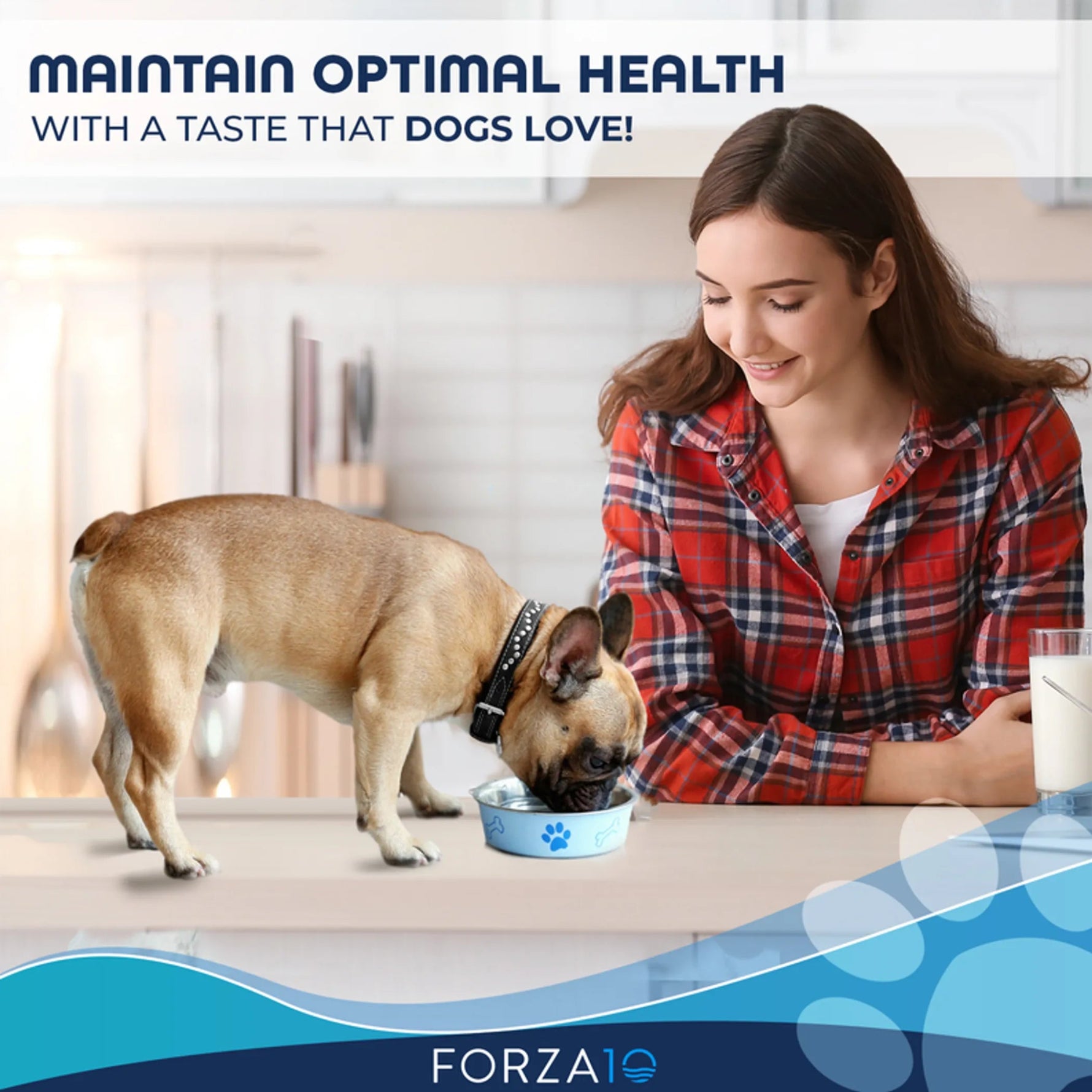 Forza10 Active Depura Diet Lamb Dry Dog Food-AMAZON FACTORY